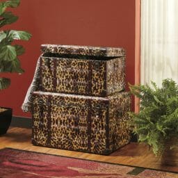 Set of 2 Animal Print Trunks